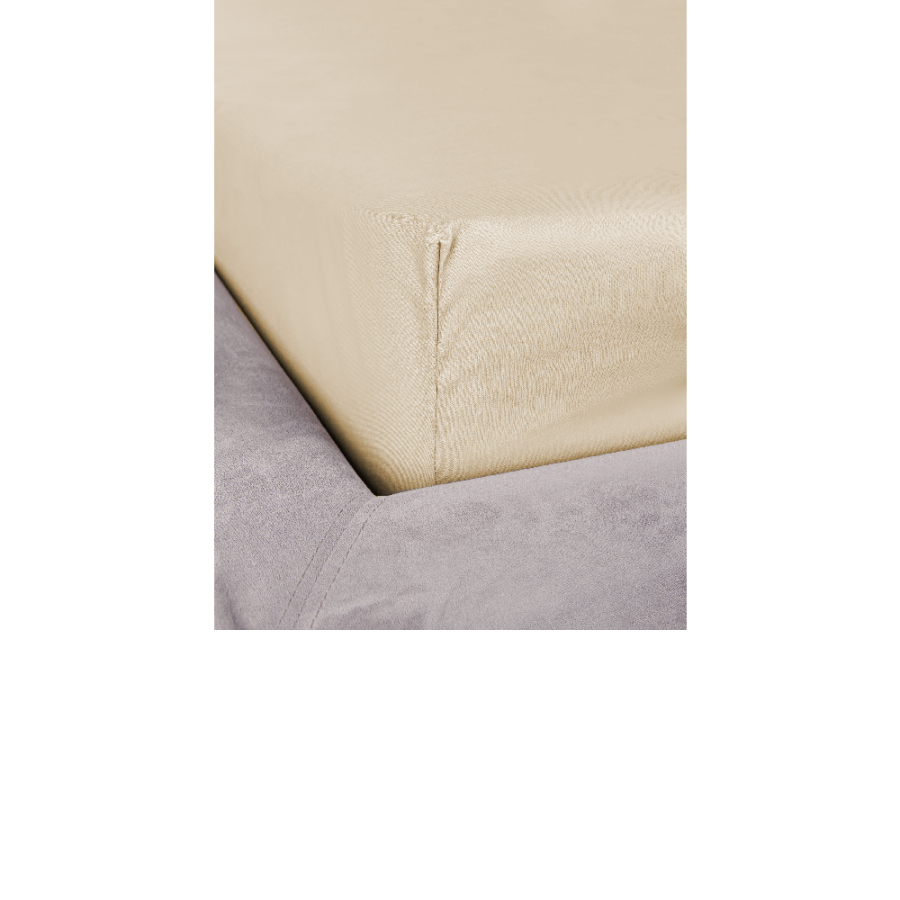 PLAHTA SA GUMOM 100X200X25