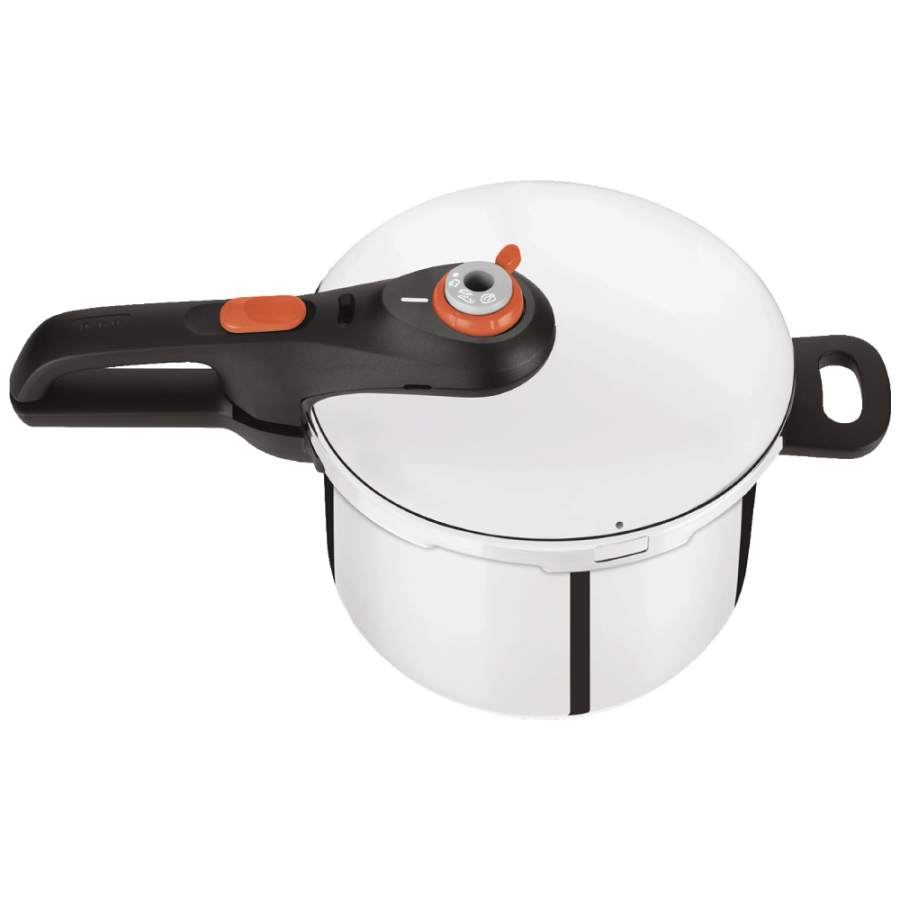 LONAC PRETIS 6L TEFAL P2530756 SECURE 5 NEO