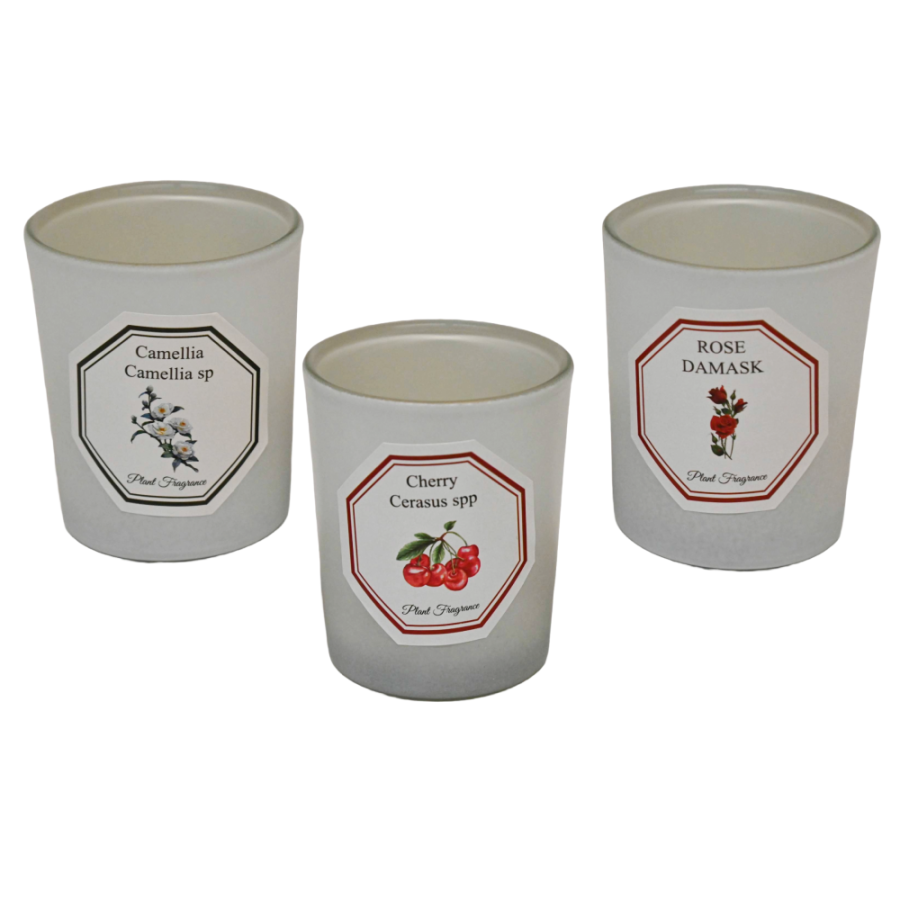 MIRISNA SVIJEĆA U ČAŠI 9X7CM