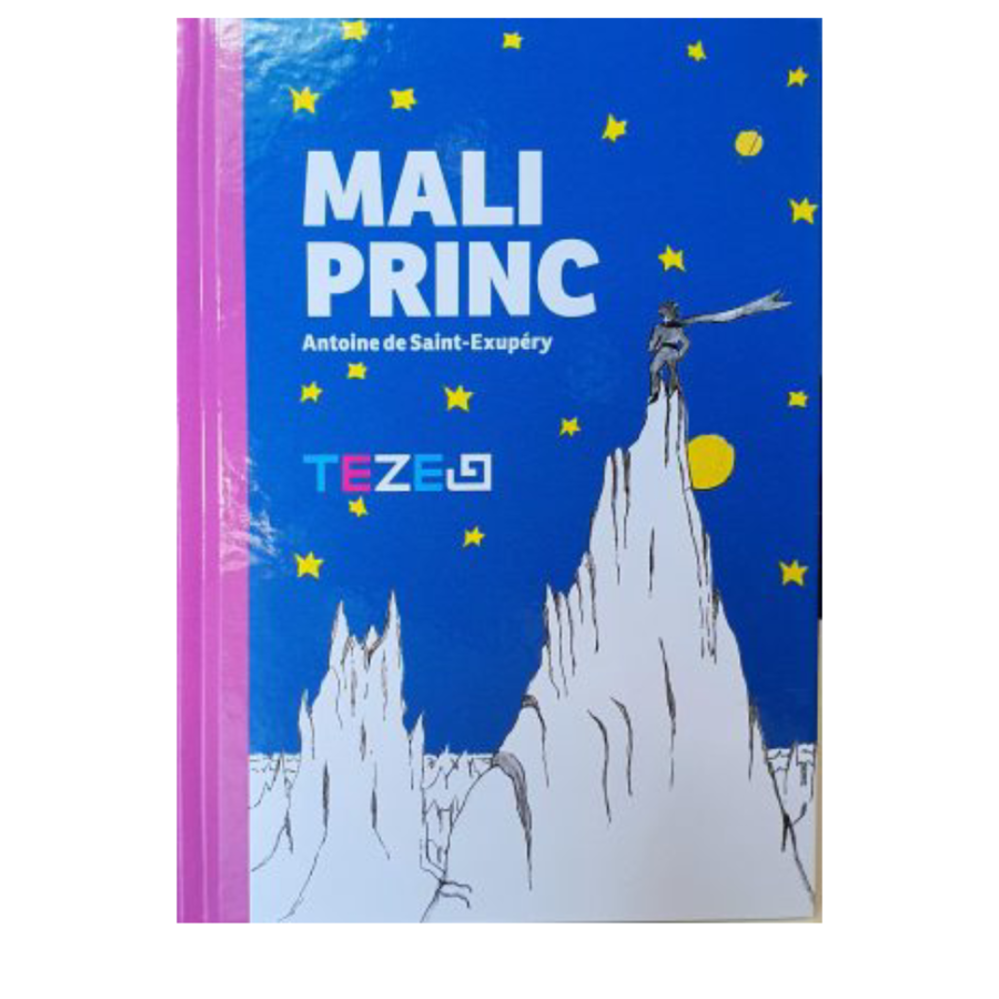 DJEČIJA KNJIGA TEZEJ