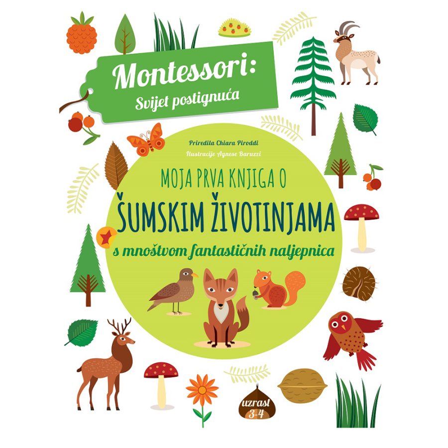BOJANKA-VJEŽBANKA MONTESSORI SVIJET POSTIGNUĆA