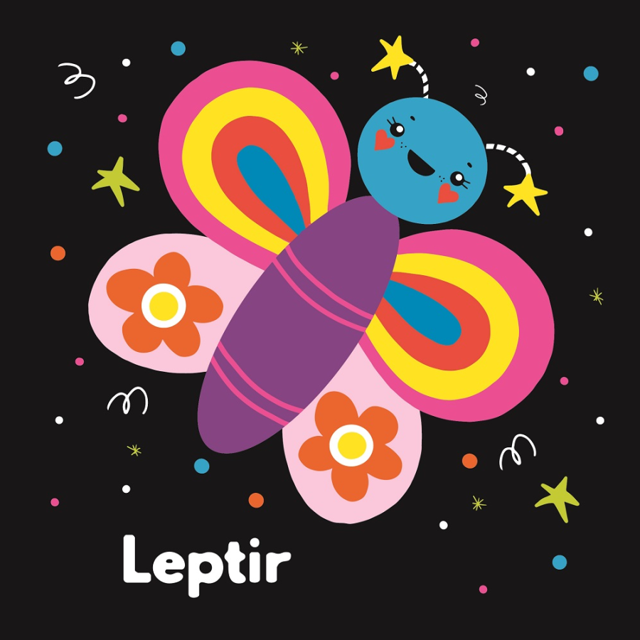 SLIKOVNICA MOJA PRVA KNJIGA