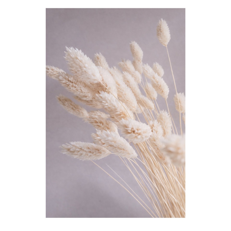 SLIKA BEZ OKVIRA 40X60CM