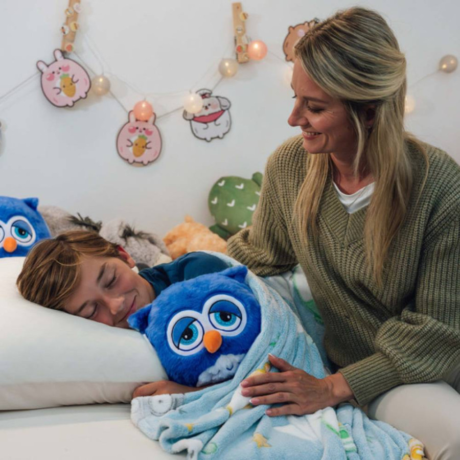 DORMEO SET 3U1 JASTUK DEKA IGRAČKA WARM HUG EMOTION SLEEPY OWL
