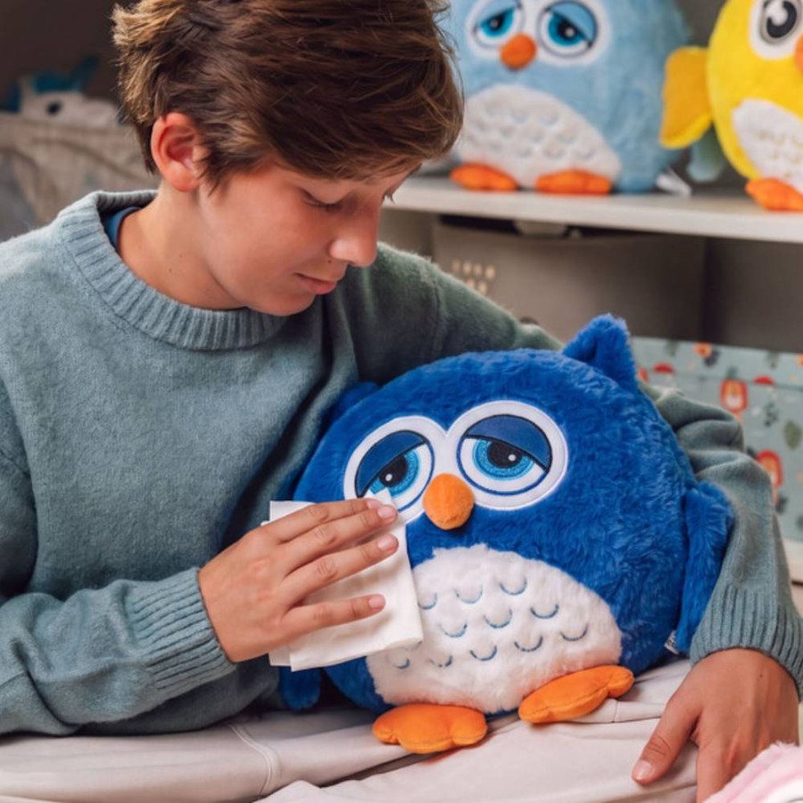 DORMEO SET 3U1 JASTUK DEKA IGRAČKA WARM HUG EMOTION SLEEPY OWL