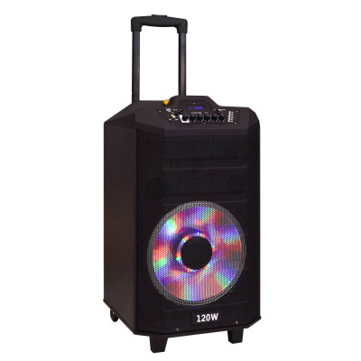 KARAOKE SA 2 MIKROFONA 120W