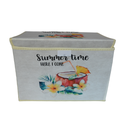 KUTIJA ZA ODLAGANJE 38X25X25CM