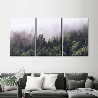 SLIKA SA OKVIROM 40X60CM