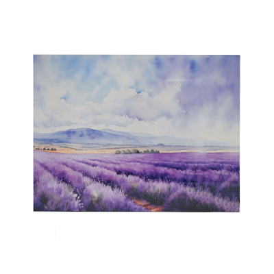 SLIKA BEZ OKVIRA 60X80CM