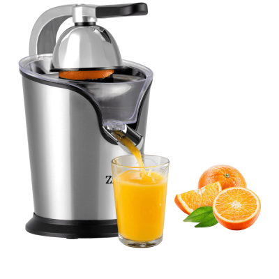 SOKOVNIK CITRUSETA 100-500W ZILAN TIHI RAD ZLN1765