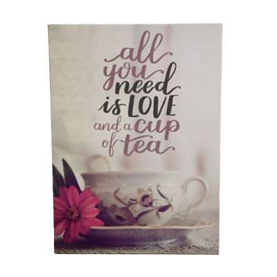 FOTO ALBUM 100SL 17X13CM