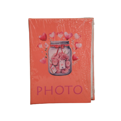 FOTO ALBUM 100SL 17X13CM