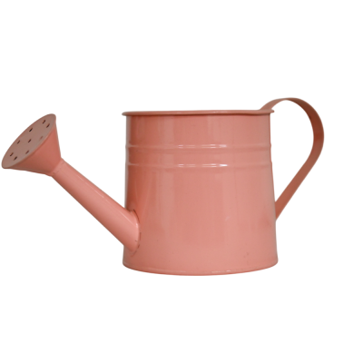 KANTA ZA POLIJEVANJE  26X12CM