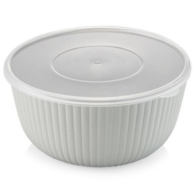 OKRUGLA ZDJELA SA POKLOPCEM 4,2L 25X12 PP